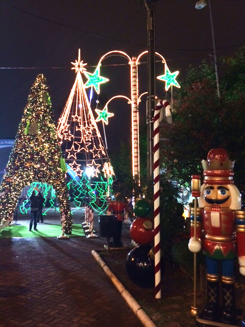 NATAL LUZ - CAMPOS DO JORDÃO - SP